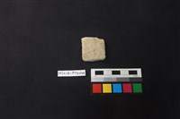 藏品(陶片)的圖片