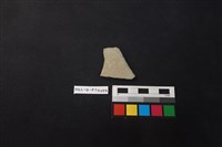 藏品(陶片)的圖片