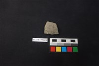 藏品(陶片)的圖片