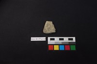 藏品(陶片)的圖片