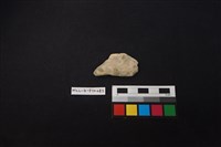 藏品(陶片)的圖片