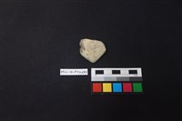 藏品(陶片)的圖片