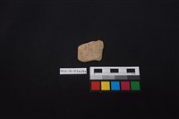 藏品(陶片)的圖片