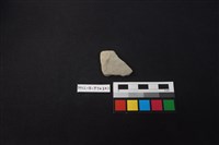 藏品(陶片)的圖片