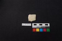 藏品(陶片)的圖片