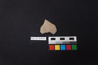 藏品(陶片)的圖片