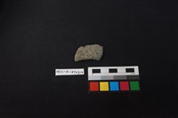 藏品(陶片)的圖片