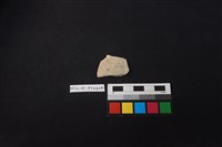 藏品(陶片)的圖片