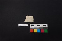 藏品(陶片)的圖片