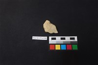 藏品(陶片)的圖片