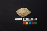 藏品(陶片)的圖片