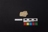 藏品(陶片)的圖片