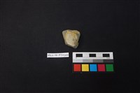 藏品(陶片)的圖片