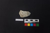 藏品(陶片)的圖片