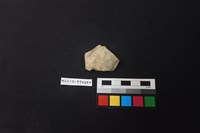 藏品(陶片)的圖片