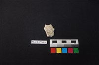 藏品(陶片)的圖片