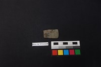 藏品(陶片)的圖片