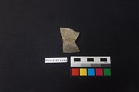 藏品(陶片)的圖片