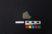 藏品(陶片)的圖片