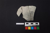 藏品(陶片)的圖片