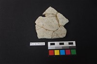 藏品(陶片)的圖片