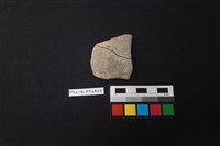 藏品(陶片)的圖片