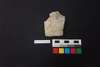 藏品(陶片)的圖片