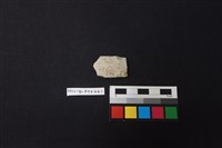 藏品(陶片)的圖片