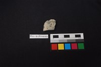 藏品(陶片)的圖片