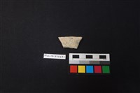 藏品(陶片)的圖片