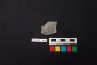 藏品(陶片)的圖片