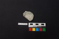 藏品(陶片)的圖片