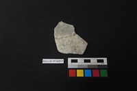 藏品(陶片)的圖片