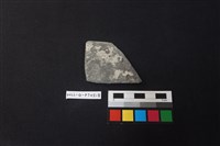 藏品(陶片)的圖片