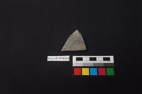 藏品(陶片)的圖片