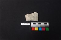 藏品(陶片)的圖片