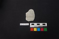 藏品(陶片)的圖片