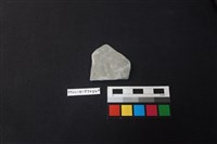 藏品(陶片)的圖片