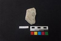 藏品(陶片)的圖片