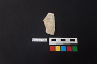 藏品(陶片)的圖片