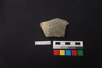 藏品(陶片)的圖片