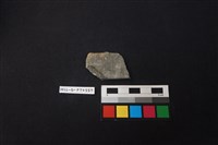 藏品(陶片)的圖片