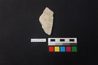 藏品(陶片)的圖片