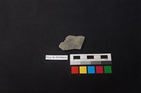 藏品(陶片)的圖片