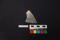 藏品(陶片)的圖片