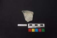 藏品(陶片)的圖片