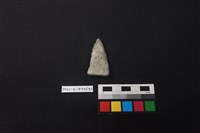 藏品(陶片)的圖片