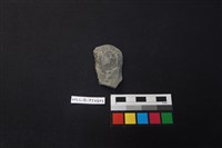 藏品(陶片)的圖片