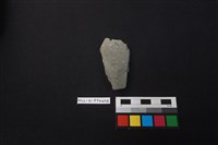 藏品(陶片)的圖片