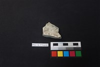 藏品(陶片)的圖片